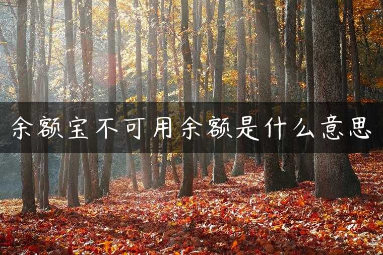 余额宝不可用余额是什么意思