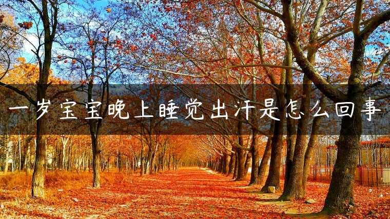 一岁宝宝晚上睡觉出汗是怎么回事