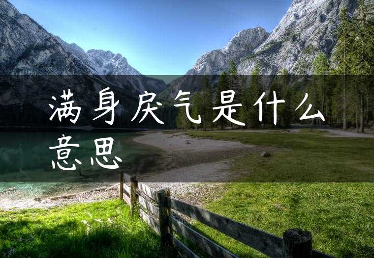 满身戾气是什么意思