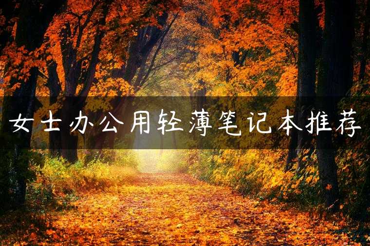 女士办公用轻薄笔记本推荐