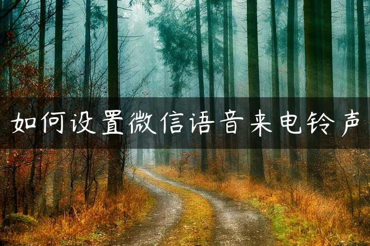 如何设置微信语音来电铃声
