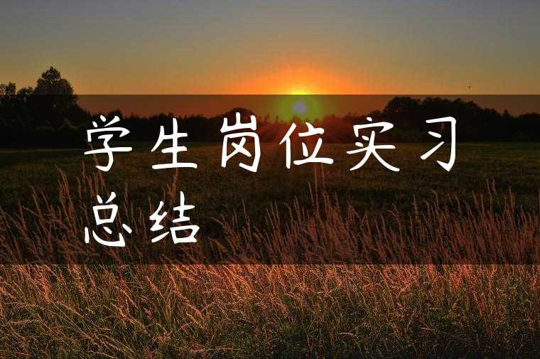 学生岗位实习总结