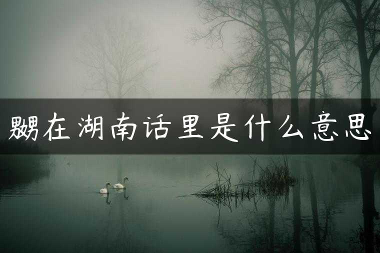 嬲在湖南话里是什么意思