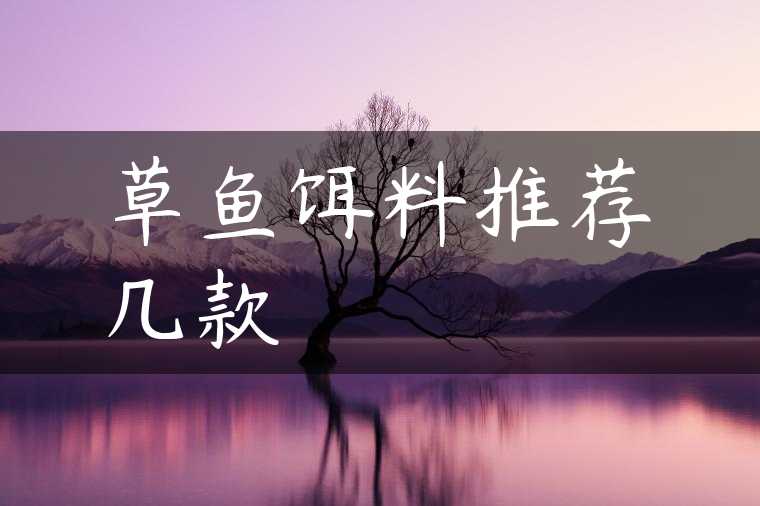 草鱼饵料推荐几款