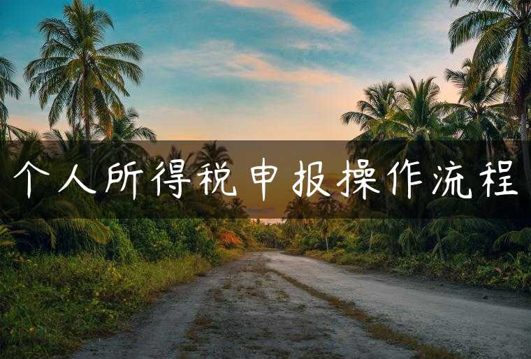 个人所得税申报操作流程