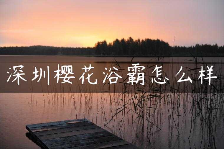 深圳樱花浴霸怎么样