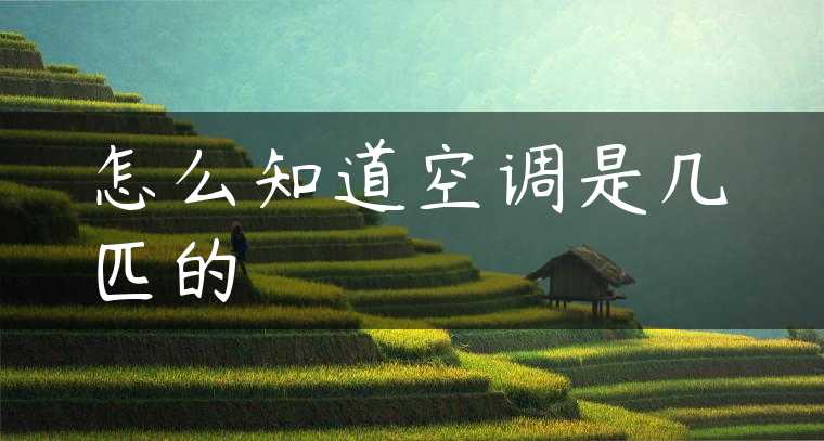 怎么知道空调是几匹的