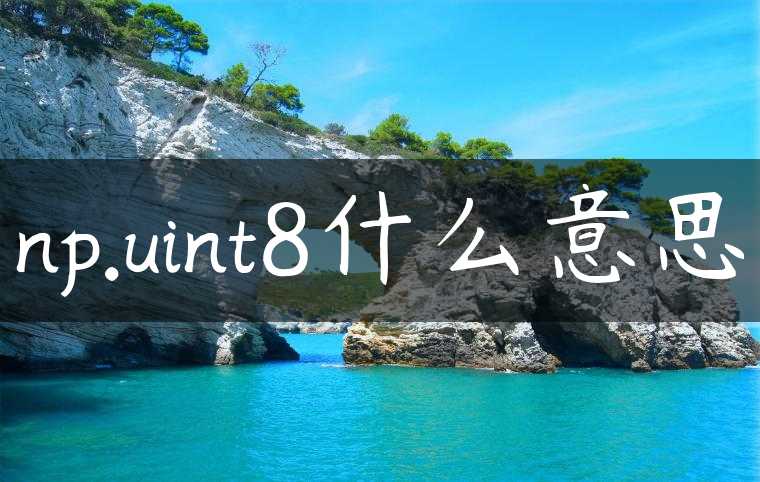 np.uint8什么意思