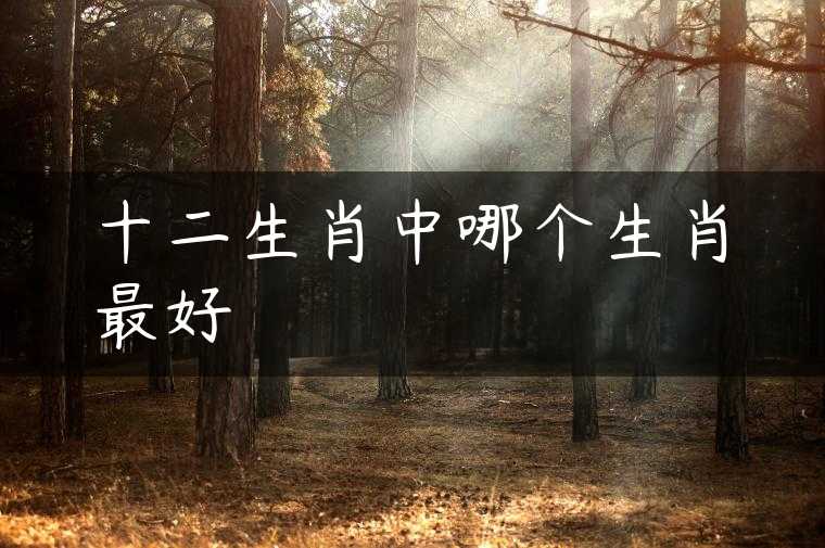 十二生肖中哪个生肖最好