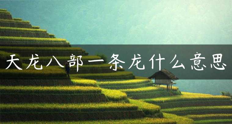 天龙八部一条龙什么意思