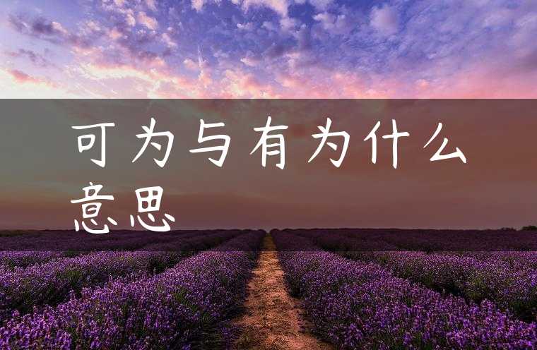 可为与有为什么意思