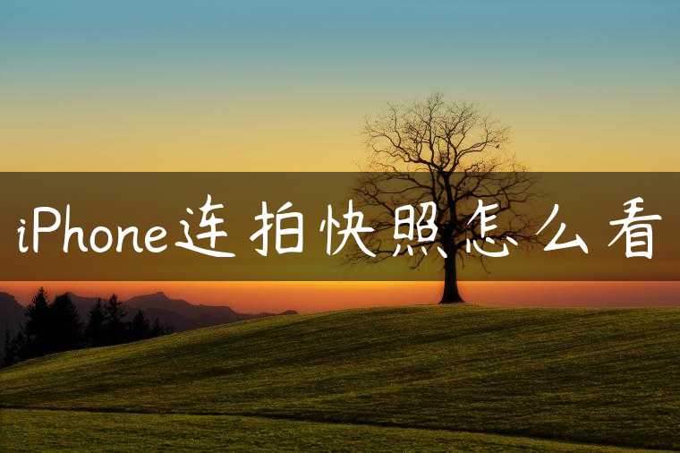 iPhone连拍快照怎么看