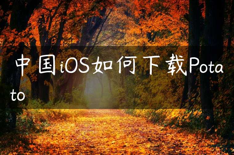 中国iOS如何下载Potato