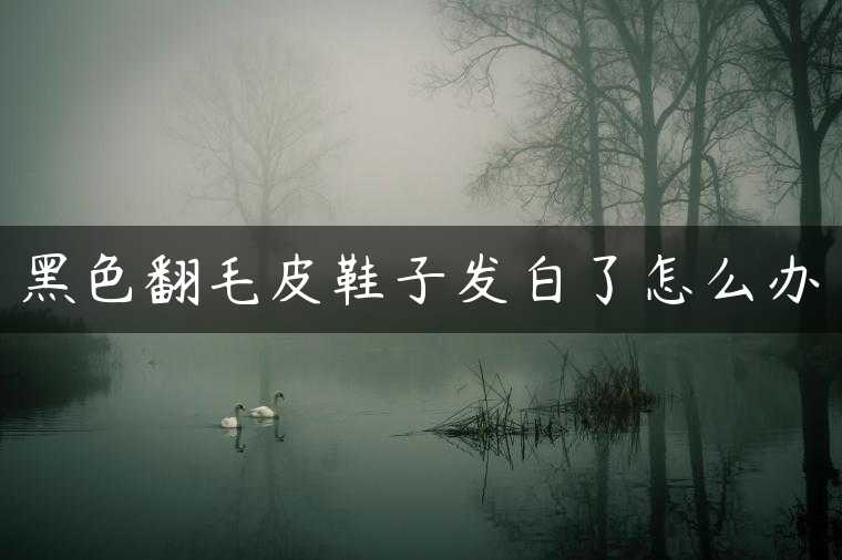 黑色翻毛皮鞋子发白了怎么办