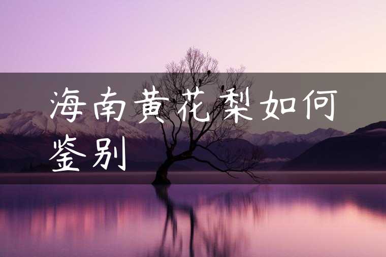 海南黄花梨如何鉴别