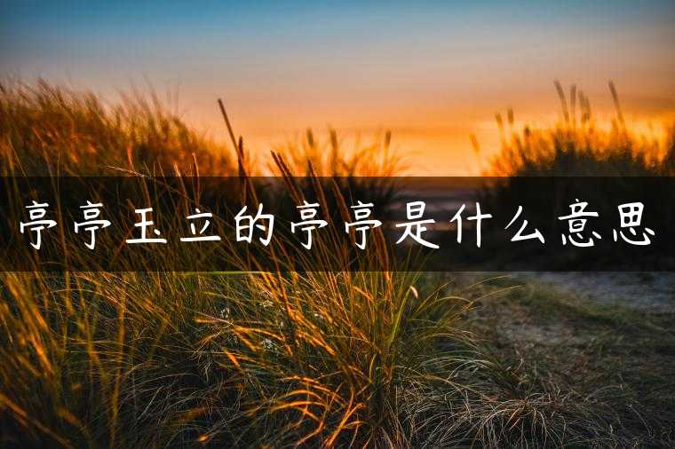 亭亭玉立的亭亭是什么意思