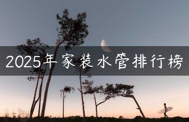 2025年家装水管排行榜