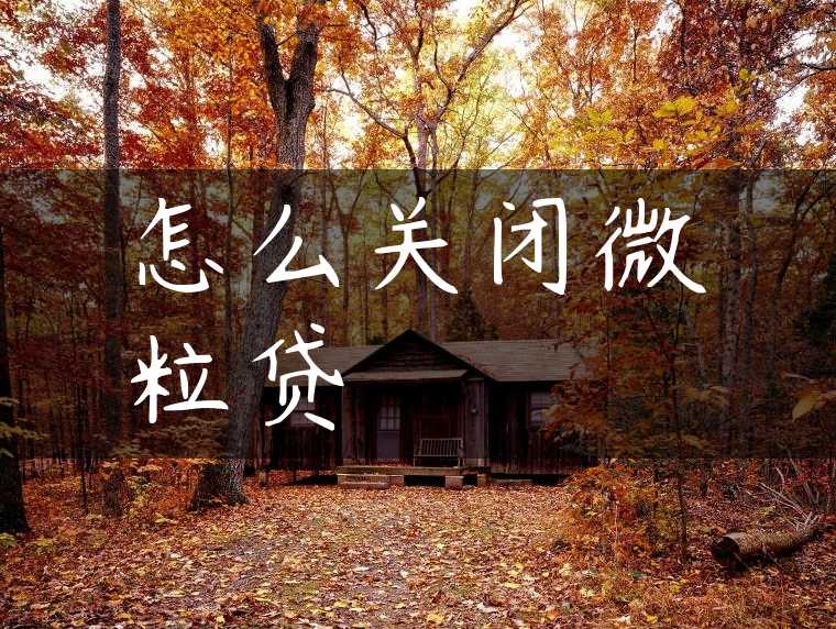 怎么关闭微粒贷