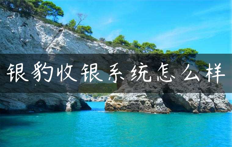 银豹收银系统怎么样