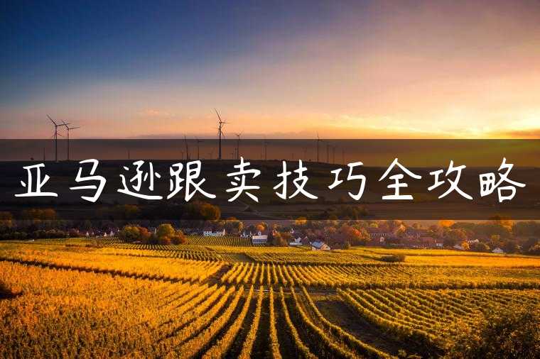 亚马逊跟卖技巧全攻略