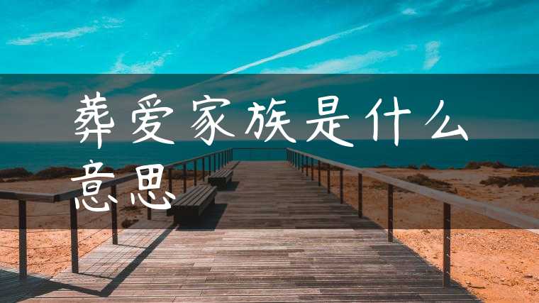 葬爱家族是什么意思