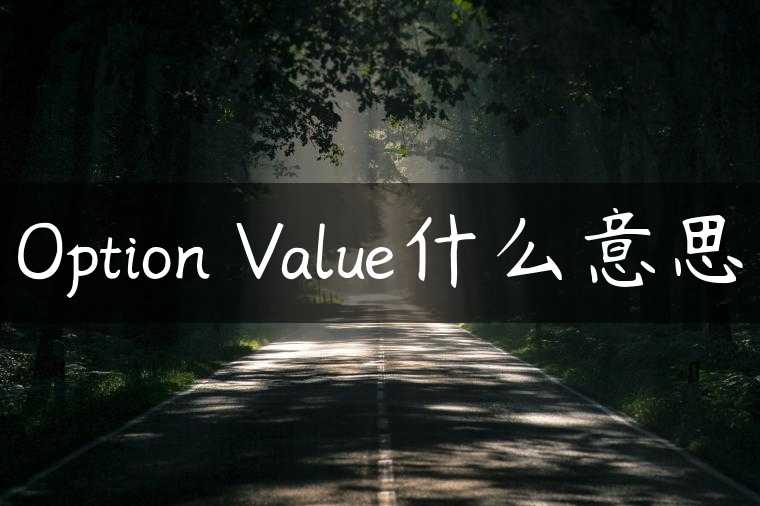 Option Value什么意思