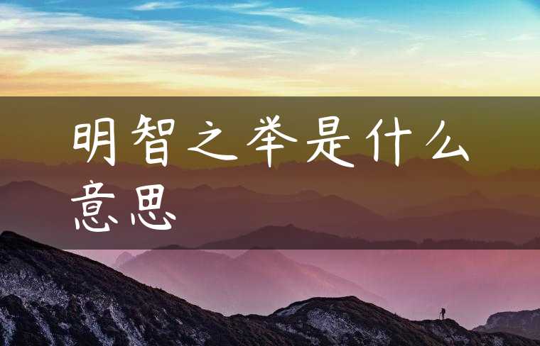 明智之举是什么意思