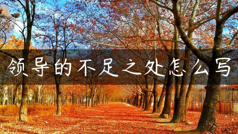 领导的不足之处怎么写