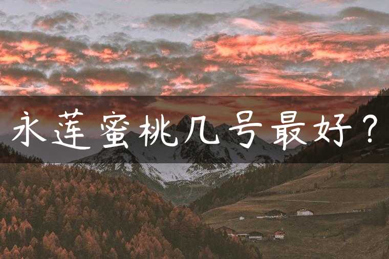 永莲蜜桃几号最好？