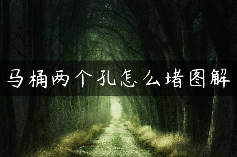 马桶两个孔怎么堵图解