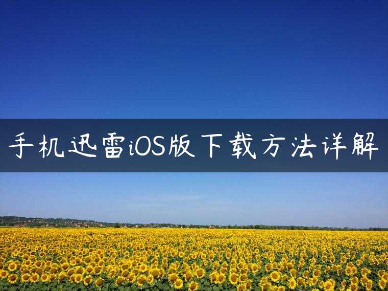 手机迅雷iOS版下载方法详解