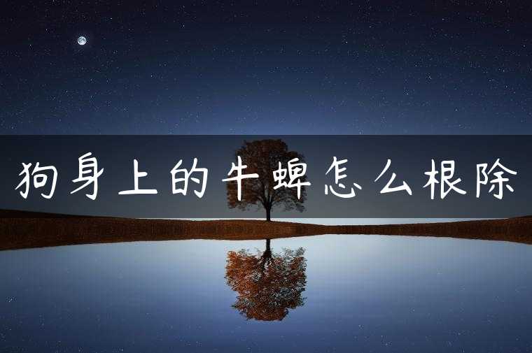 狗身上的牛蜱怎么根除