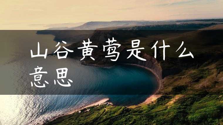 山谷黄莺是什么意思