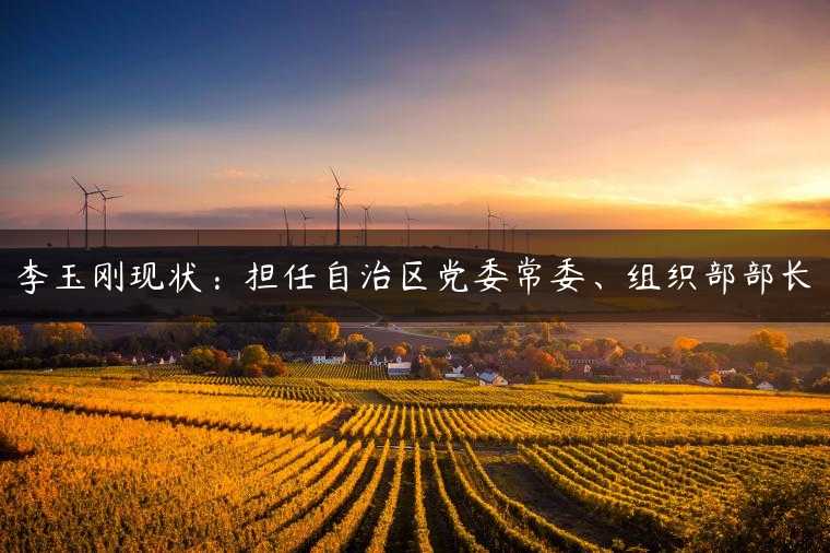 李玉刚现状：担任自治区党委常委、组织部部长