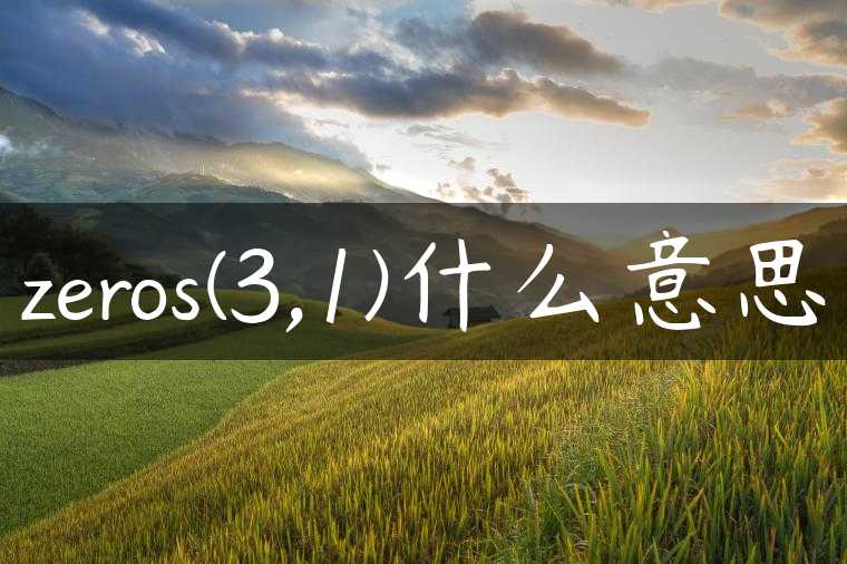 zeros(3,1)什么意思