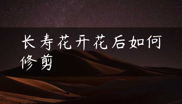 长寿花开花后如何修剪