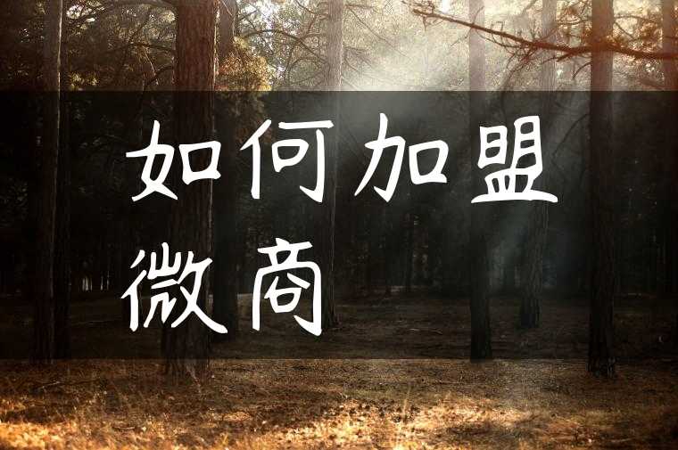 如何加盟微商