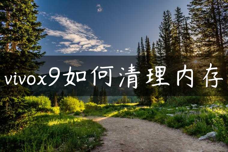 vivox9如何清理内存