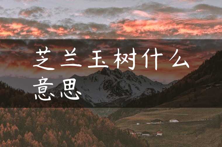 芝兰玉树什么意思