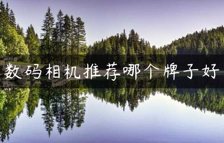 数码相机推荐哪个牌子好