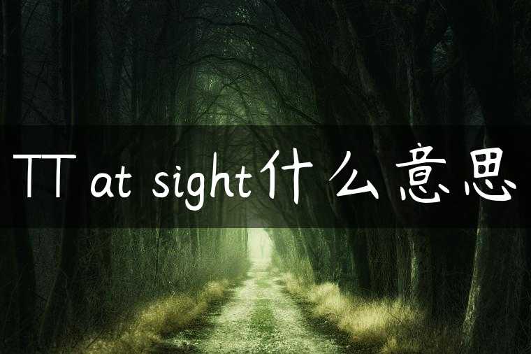 TT at sight什么意思