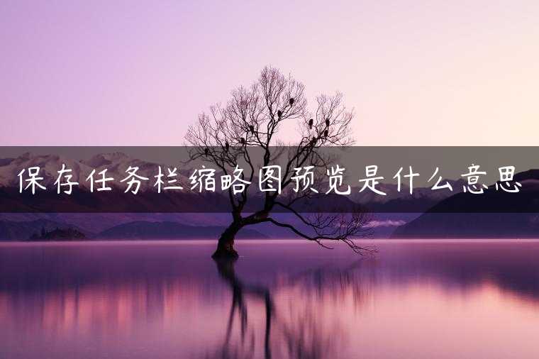 保存任务栏缩略图预览是什么意思