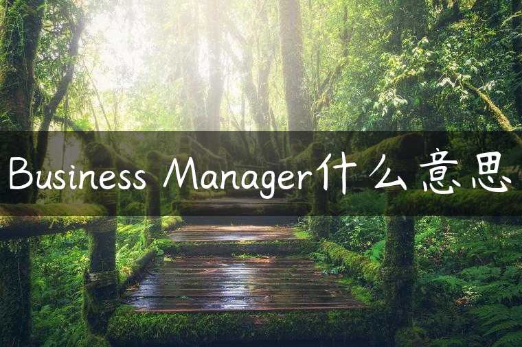 Business Manager什么意思