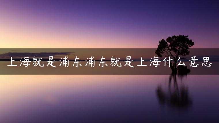 上海就是浦东浦东就是上海什么意思