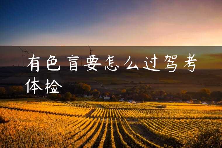 有色盲要怎么过驾考体检