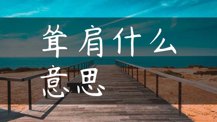 耸肩什么意思