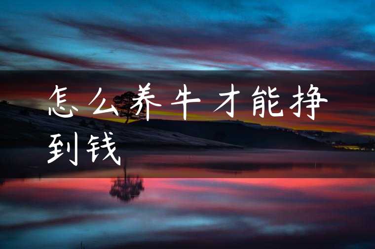 怎么养牛才能挣到钱