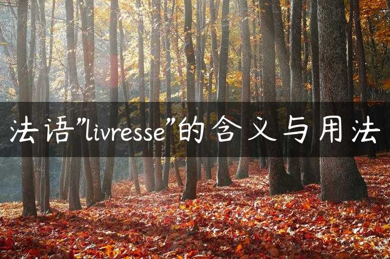 法语”livresse”的含义与用法