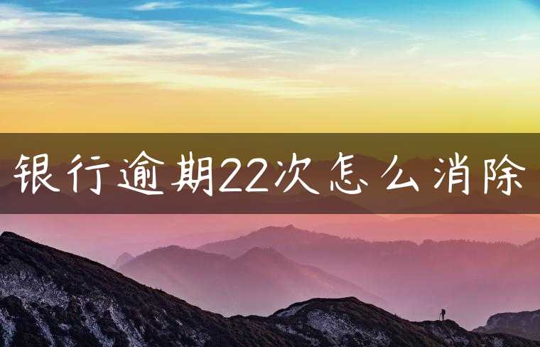 银行逾期22次怎么消除