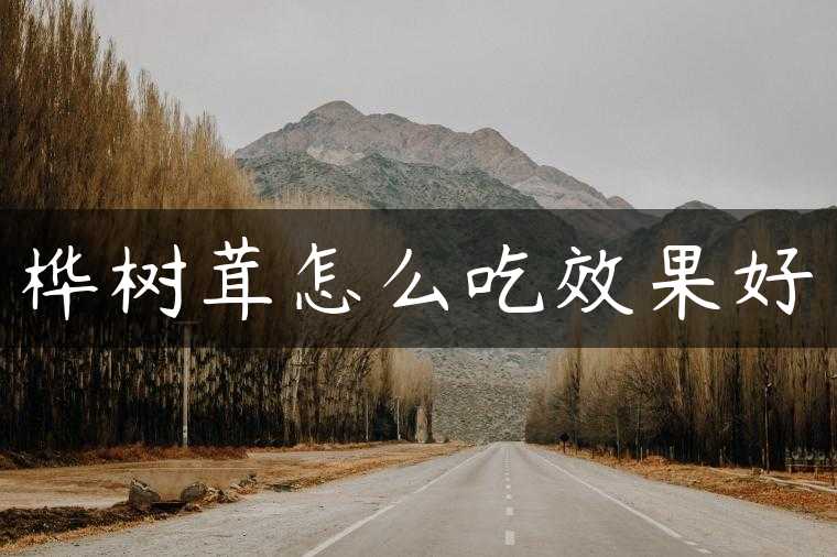 桦树茸怎么吃效果好